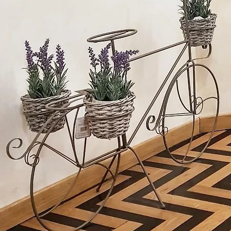 Domus Paradiso Piazza Navona Apartmán Řím