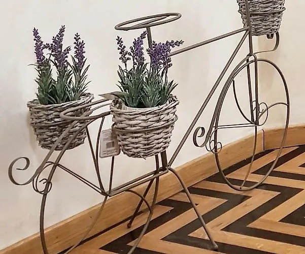 Domus Paradiso In Piazza Navona Appartement Rome