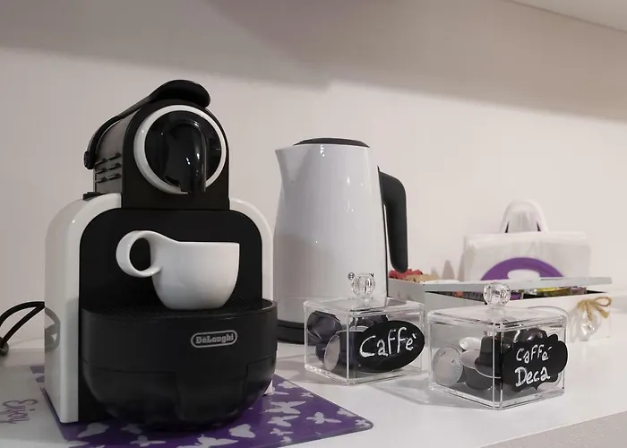 Domus Paradiso In Piazza Navona